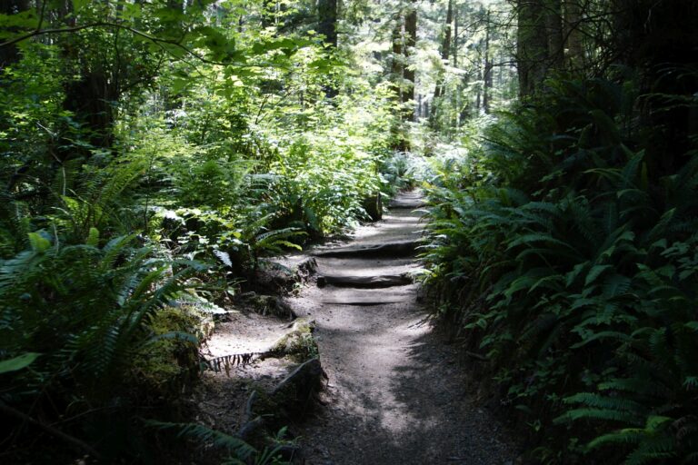 On The Road - frosty - 2024 National Park Road Trip - Washington (4/10) Olympic National Park – Coast 7