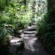 On The Road - frosty - 2024 National Park Road Trip - Washington (4/10) Olympic National Park – Coast 7