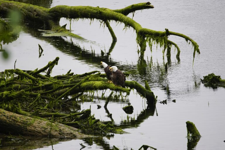 On The Road - frosty - 2024 National Park Road Trip - Washington (4/10) Olympic National Park – Coast