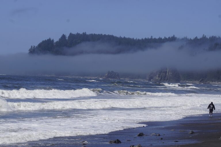 On The Road - frosty - 2024 National Park Road Trip - Washington (4/10) Olympic National Park – Coast 3