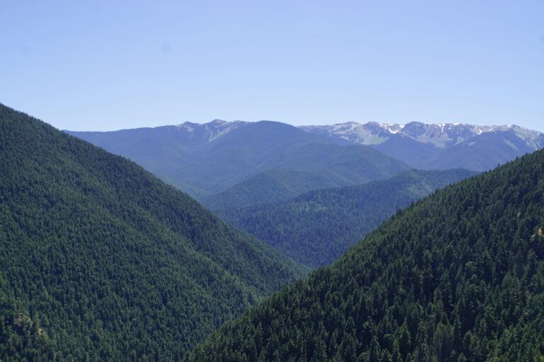 On The Road - frosty - 2024 National Park Road Trip - Washington 5/10 Olympic National Park – Hoh River Rain Forest and Hurricane Ridge 3