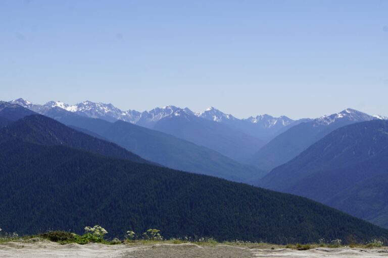 On The Road - frosty - 2024 National Park Road Trip - Washington 5/10 Olympic National Park – Hoh River Rain Forest and Hurricane Ridge 1