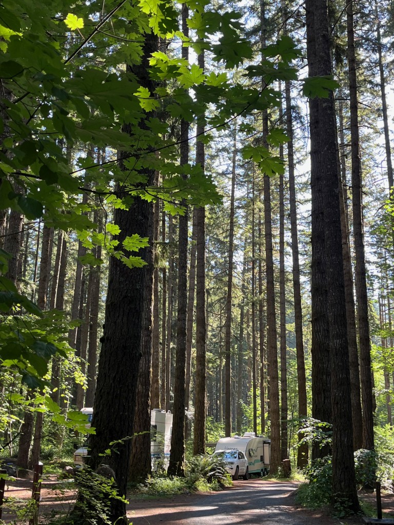 On The Road - frosty - 2024 National Park Road Trip - Washington (3/10) Mount St Helens and Seaquest State Park 3