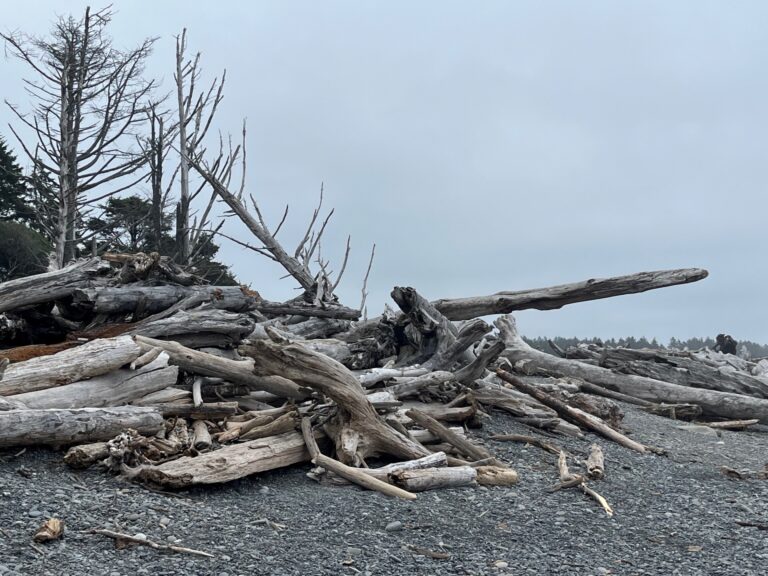On The Road - frosty - 2024 National Park Road Trip - Washington (4/10) Olympic National Park – Coast 2