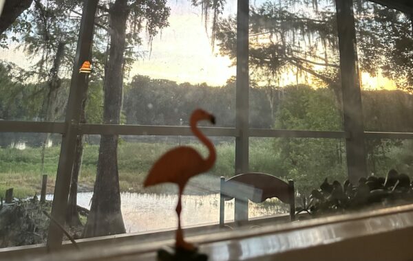 Plastic flamingo on a windowsill 