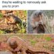 Misinformation and Electric Pangolins Open Thread