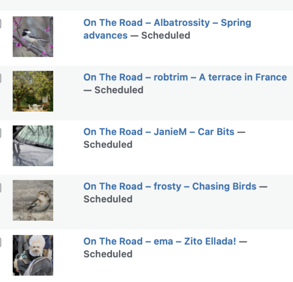 On The Road - Albatrossity - Spring advances 10