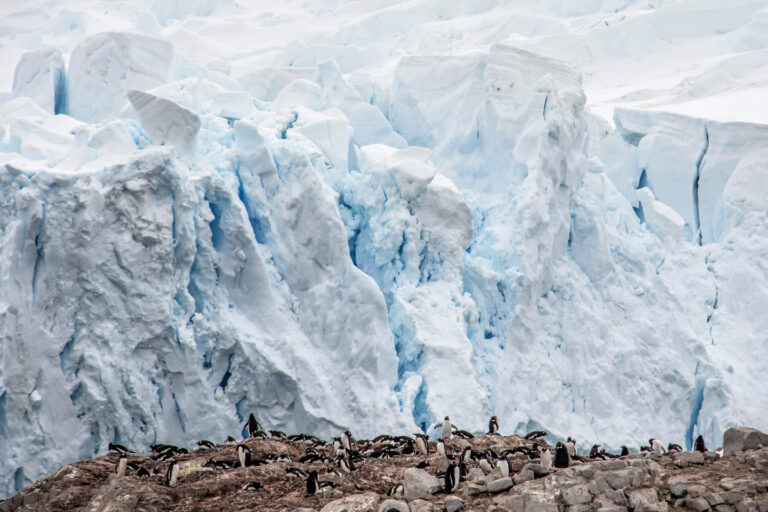 On The Road - arrieve - Antarctica Part 1 9