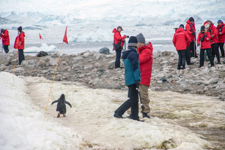 On The Road - arrieve - Antarctica Part 1 4