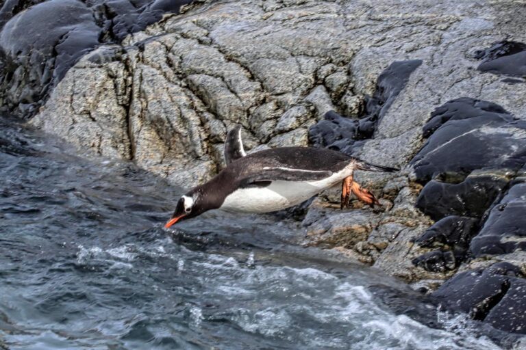 On The Road - arrieve - Antarctica Part 2 3