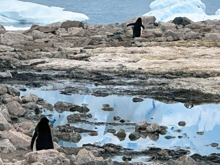 On The Road - arrieve - Antarctica Part 1 2