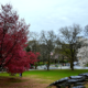 On The Road - ema - Central Park Blossoms 9