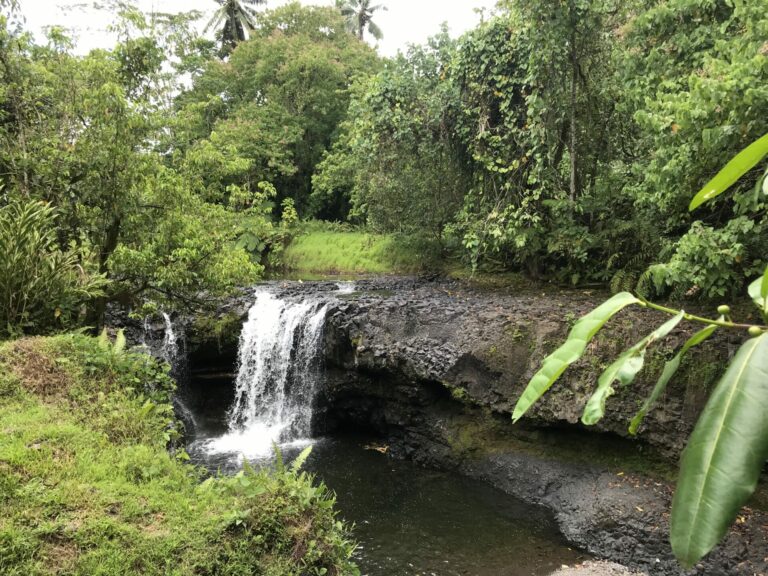 On The Road - way2blue - EAST 2 WEST, SAMOA—RESPITE EDITION—FEBRUARY 2025 ( third of five) 9