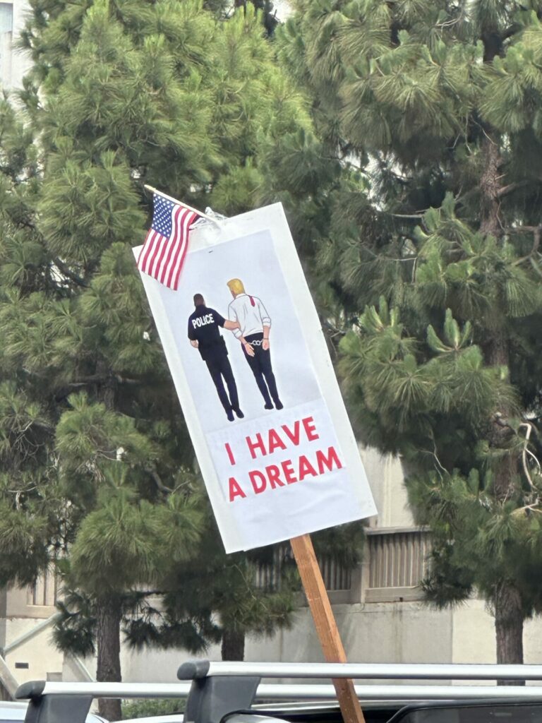 NaijaGal - No Kings Protest in Marina del Rey/Playa Vista, California 6