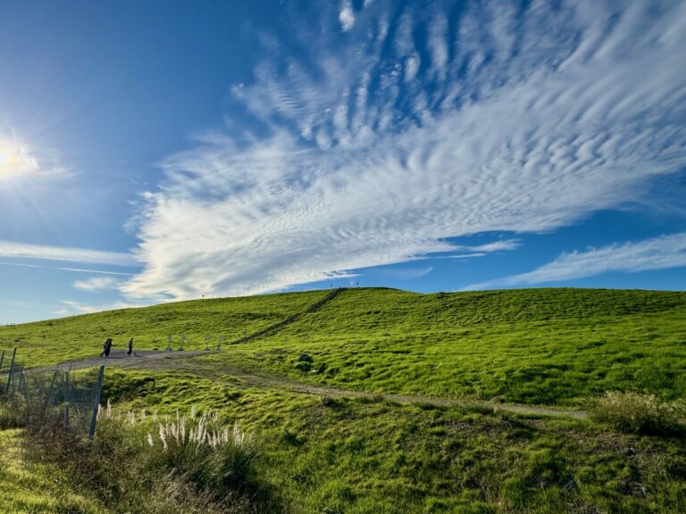 On The Road - dmkingto - SF Bay Area Scenes 2