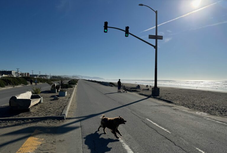 On The Road - dmkingto - SF Bay Area Benches, round 2 4