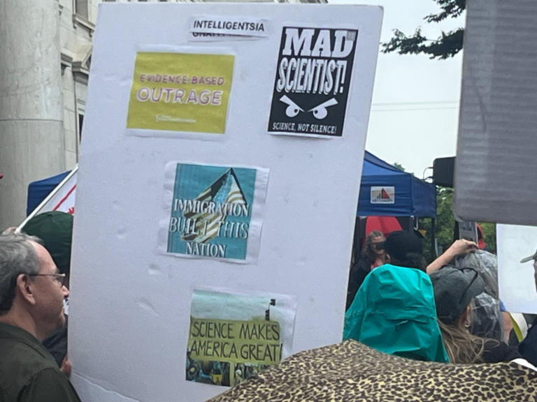 Ceci n est pas mon nym - No Kings protest in Media, PA 3