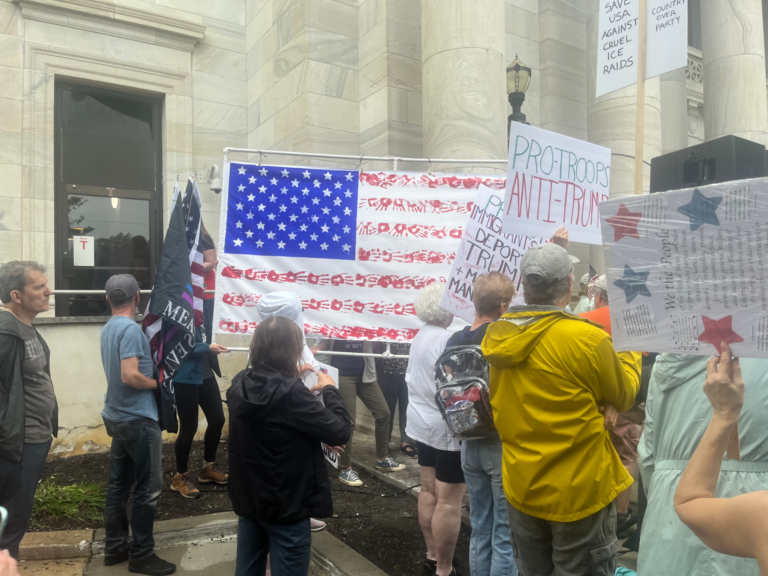 Ceci n est pas mon nym - No Kings protest in Media, PA 1