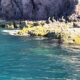 On The Road - beckya57 - Copper Canyon, Mexico, April 2025 6