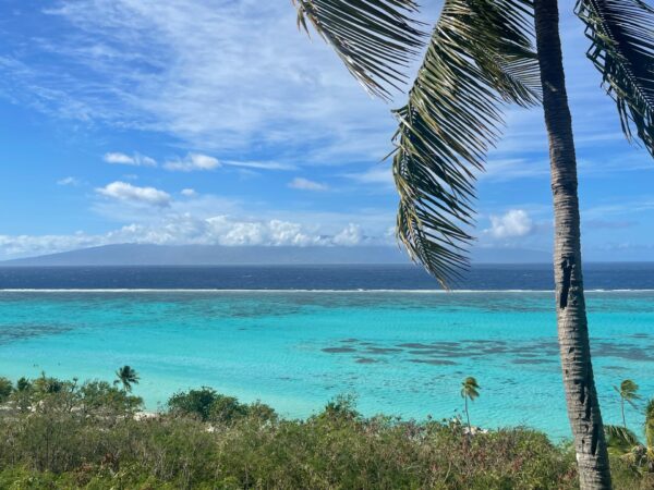 On The Road - Deputinize America - Moorea 2024 7