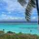 On The Road - Deputinize America - Moorea 2024 7