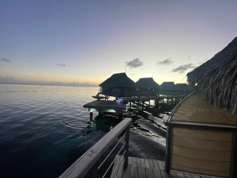 On The Road - Deputinize America - Moorea 2024 6