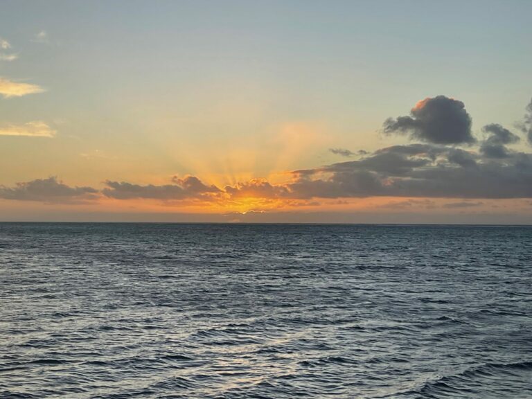 On The Road - Deputinize America - Moorea 2024 5