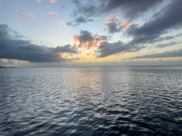 On The Road - Deputinize America - Moorea 2024 2