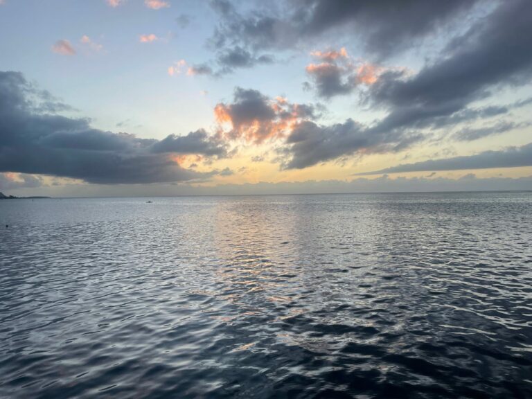 On The Road - Deputinize America - Moorea 2024 2