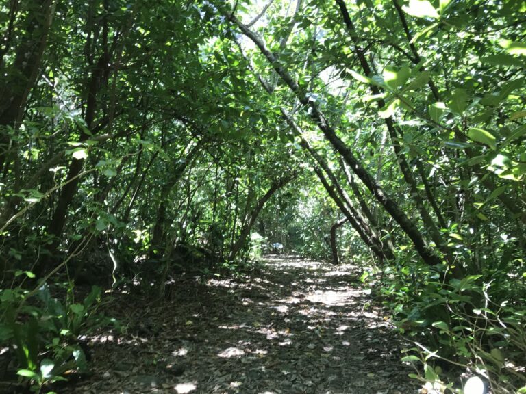 On The Road - way2blue - SAMOA—RESPITE EDITION—FEBRUARY 2025 ( first of five) 6