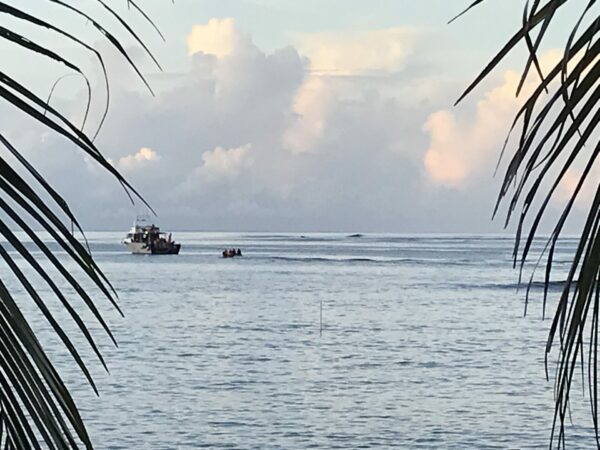 On The Road - way2blue - SINALEI, SAMOA—RESPITE EDITION—FEBRUARY 2025. (second of five) 6