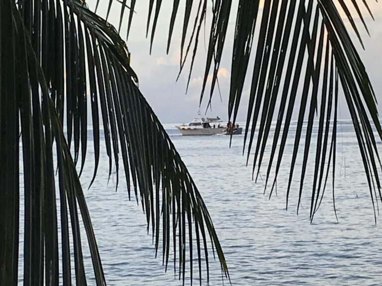 On The Road - way2blue - SINALEI, SAMOA—RESPITE EDITION—FEBRUARY 2025.  (second of five) 5