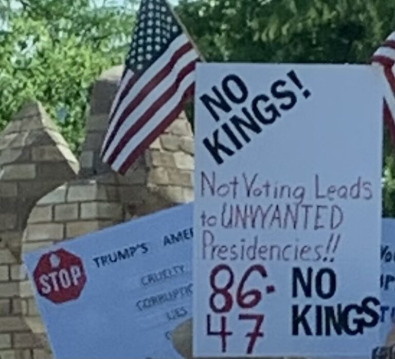 On The Road - Burrowing Owl - No Kings northern CO signs 1