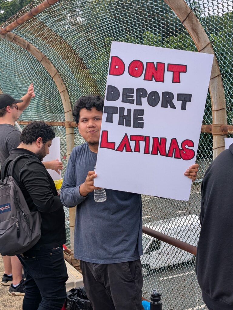 Redshift - #NoKings Overpass Rally on the Beltway in Virginia 2