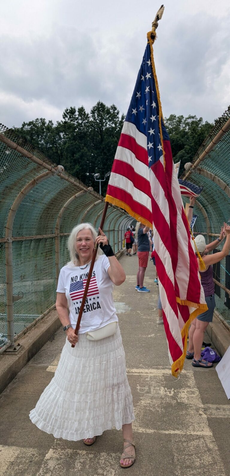 Redshift - #NoKings Overpass Rally on the Beltway in Virginia 1