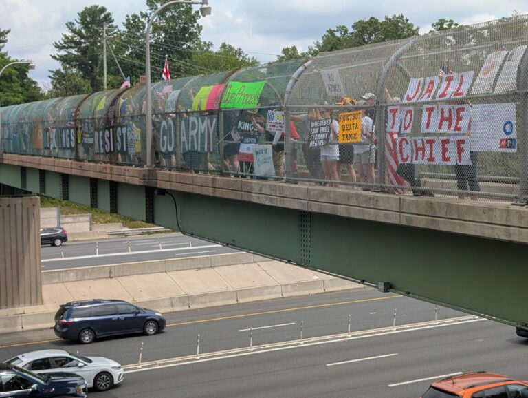 Redshift - #NoKings Overpass Rally on the Beltway in Virginia 4