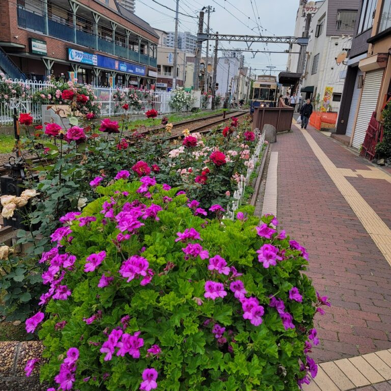 On The Road - Elma - Japan and Cruising the Pacific to LA Part 1 7