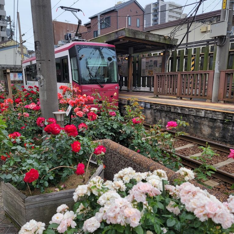 On The Road - Elma - Japan and Cruising the Pacific to LA Part 1 5
