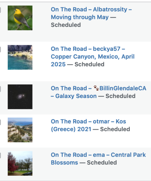 On The Road - Albatrossity - Moving through May 10