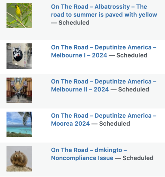 On The Road - Albatrossity - The road to summer is paved with yellow 9