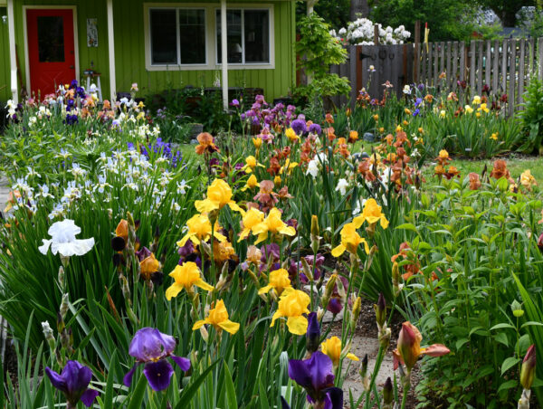 Sunday Morning Garden Chat 143