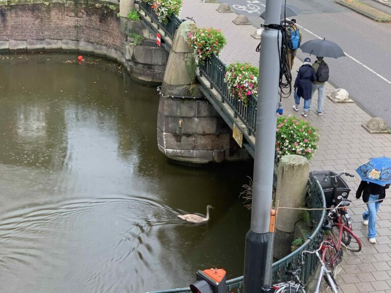 On The Road - Captain C - Netherlands, September 2024 Part 9: Amsterdam Part 2 9