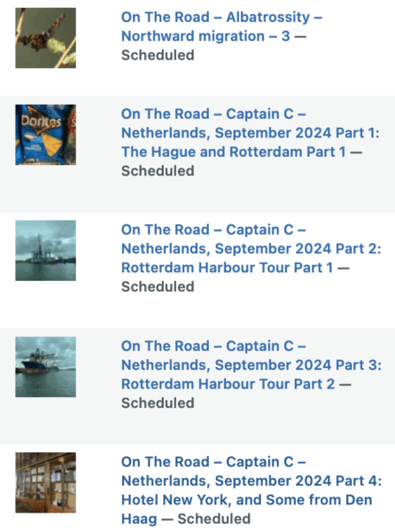 On The Road - Albatrossity - Northward migration - 3 9
