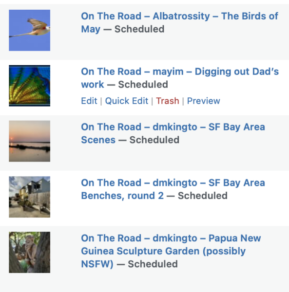 On The Road - Albatrossity - The Birds of May 10