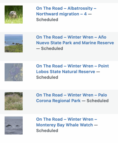 On The Road - Albatrossity - Northward migration - 4 10