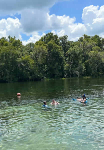 Fresh water spring with clear water and green trees in the background against a partly cloudy sky.