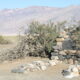 On The Road - dmkingto - Death Valley 2006 Pt. - Misc. 2