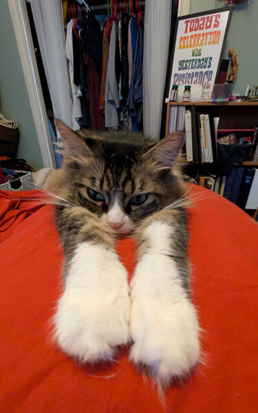 I promise Odo is not mad at me.