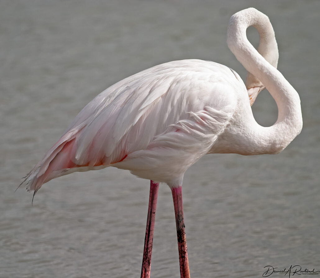 On The Road - Albatrossity - Looking good 10