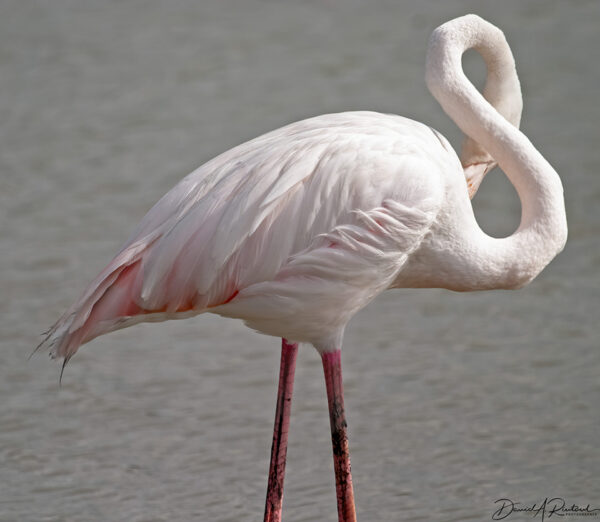 On The Road - Albatrossity - Looking good 10